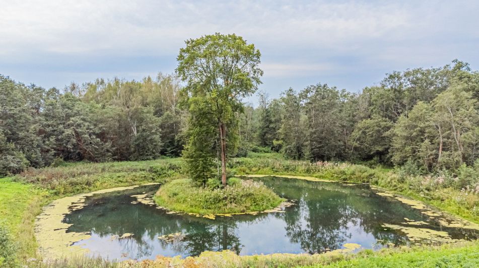 Дом у озера в КП Позитив