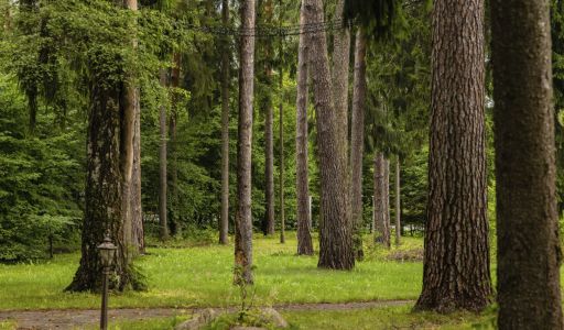 Классический особняк в Николино