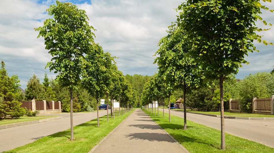 Современный дом у воды в Пестово