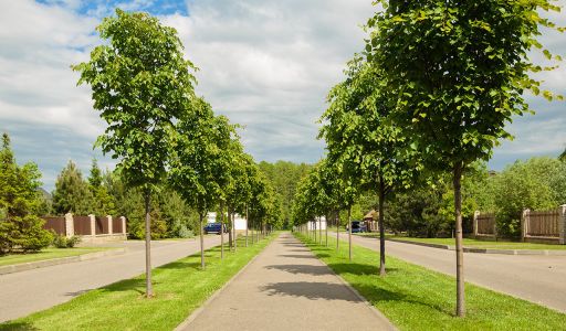 Загородный дом в КП 