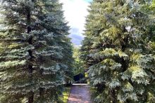 Дом в КП Чигасово-1