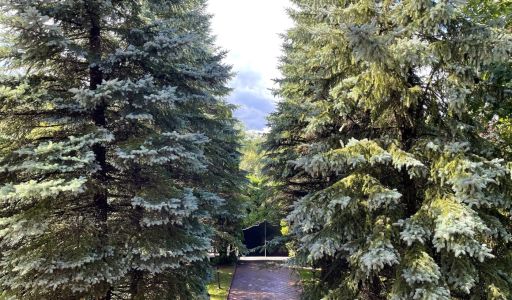 Дом в КП Чигасово-1