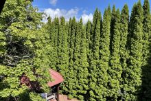 Дом в КП Чигасово-1