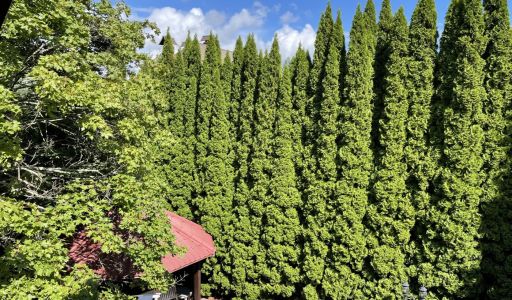 Дом в КП Чигасово-1