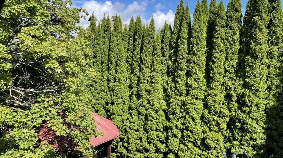 Дом в КП Чигасово-1