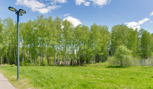 Берег хонка