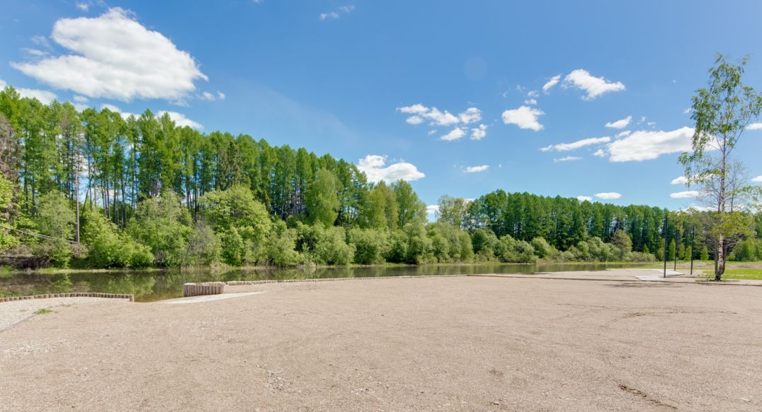 Берег хонка