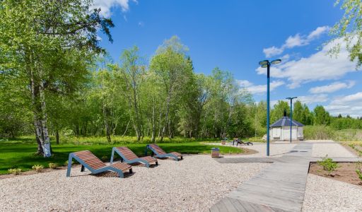 Берег хонка