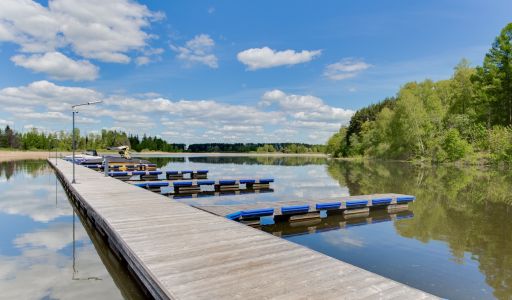 Берег хонка