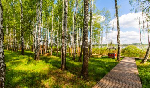 Респектабельный дом  Монаково