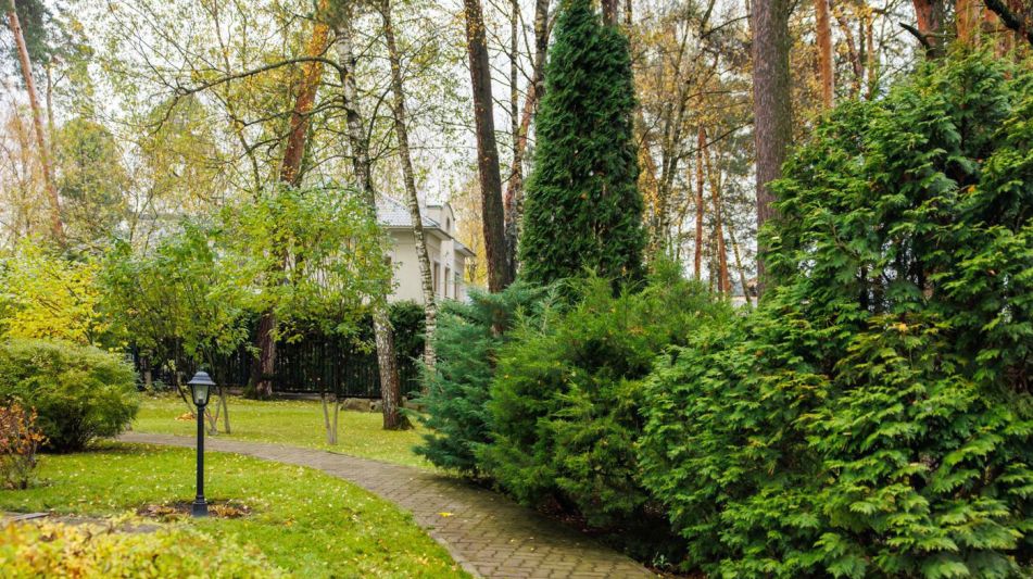 Готовый дом в КП Косыгинские дачи