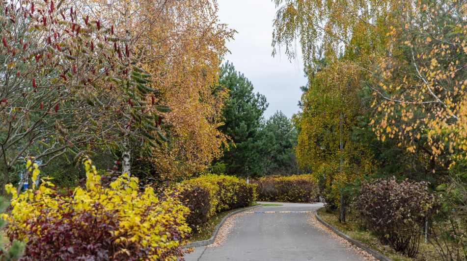 Дом из бруса в КП Сновидово