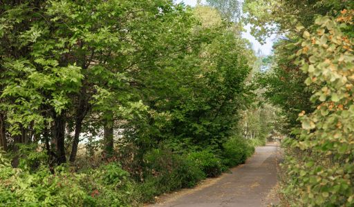 Мичуринец-2