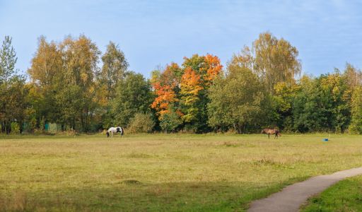 Мичуринец-2