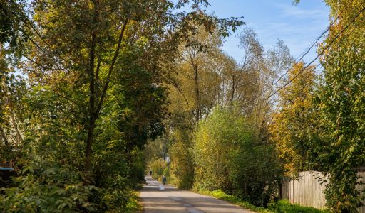 Мичуринец-2