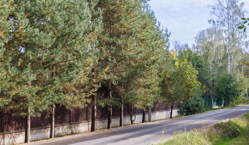 Мичуринец-2