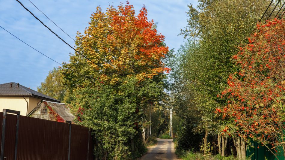 Дуплекс в СНТ Мичуринец-2