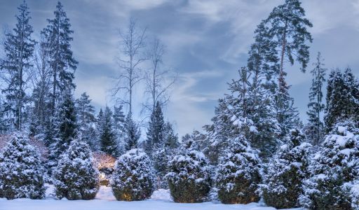 Дом в КП Никольская Слобода