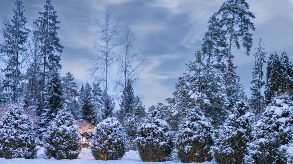 Дом в КП Никольская Слобода