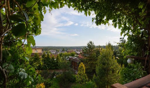 Усадьба в Альпийских горках