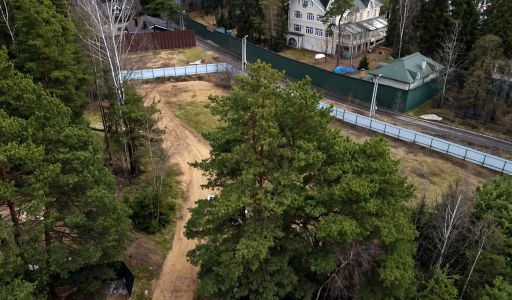 Участок с соснами в КП Иславское