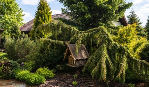 Усадьба в Альпийских горках