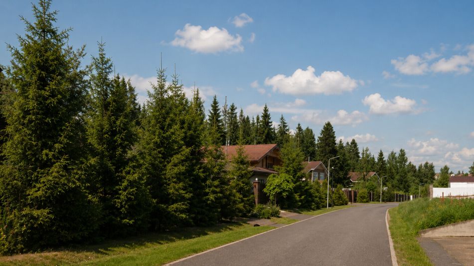 Усадьба в Альпийских горках