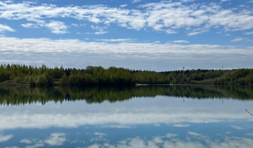 Просторный дом в п. Спас-Каменка