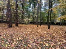 Участок в КП Косыгинские дачи