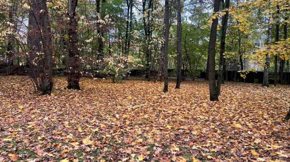 Участок в КП Косыгинские дачи