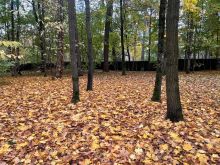 Участок в КП Косыгинские дачи