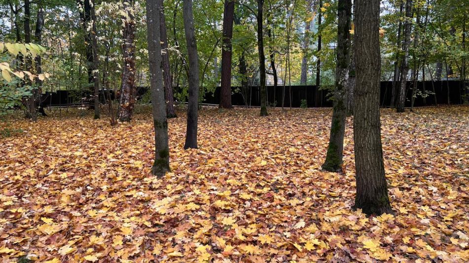 Участок в КП Косыгинские дачи