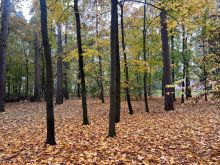 Участок в КП Косыгинские дачи