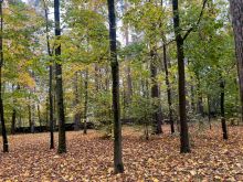 Участок в КП Косыгинские дачи