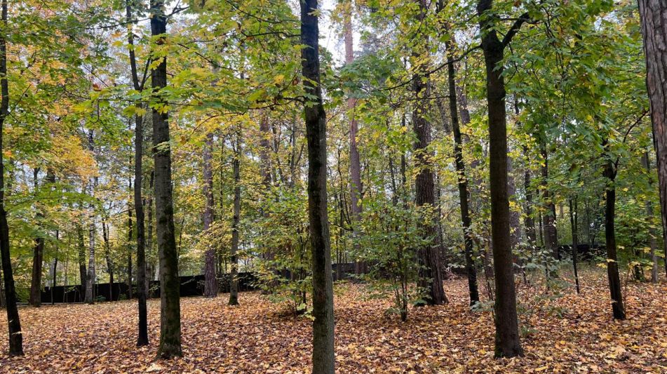 Участок в КП Косыгинские дачи