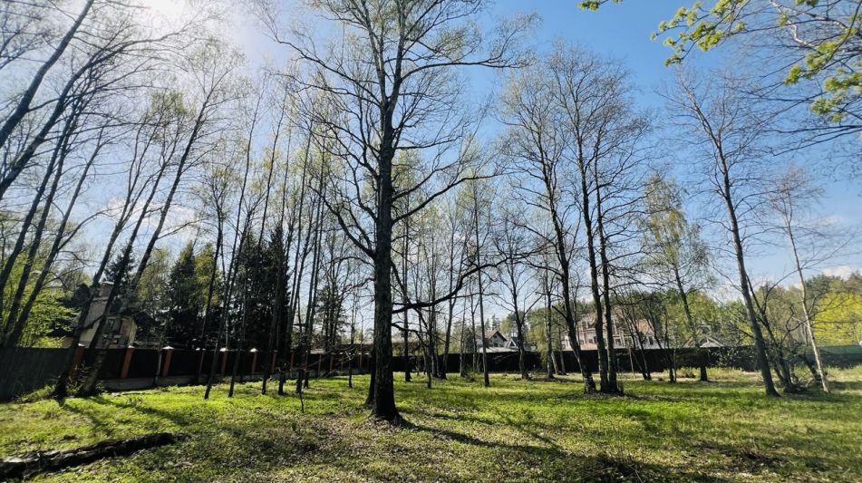 Участок в КП Новогорск-7