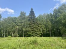 Участок в КП Новогорск-7