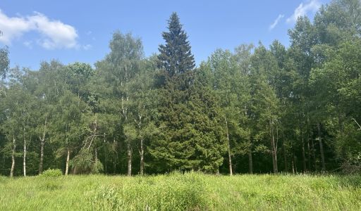 Участок в КП Новогорск-7