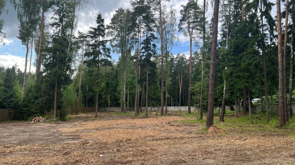 Участок в КП Лесные зори