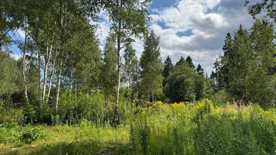 Участок в КП Бузланово