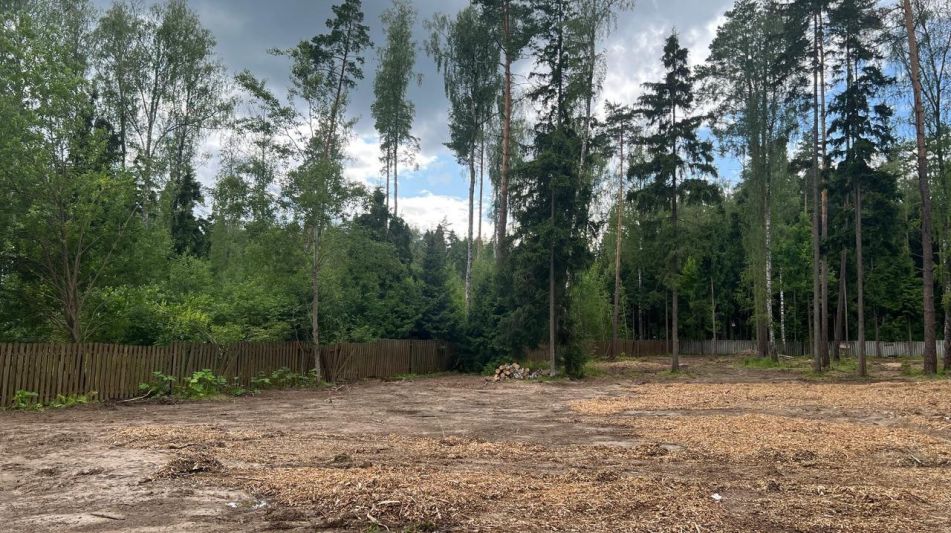 Лесной участок в КП Лесные зори