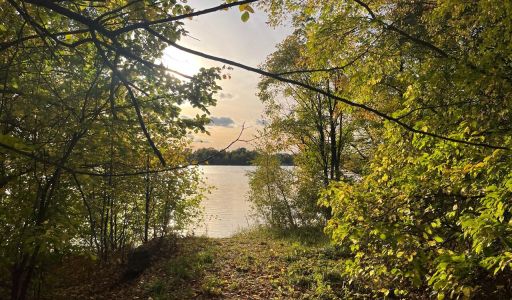 Дом в КП Пестовская гавань