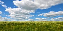 Участок в Александровке