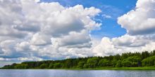 Участок в Александровке
