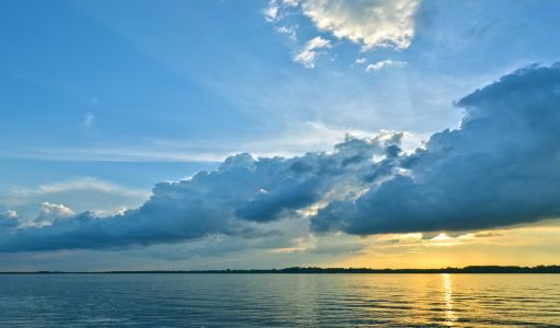 Участок в Александровке