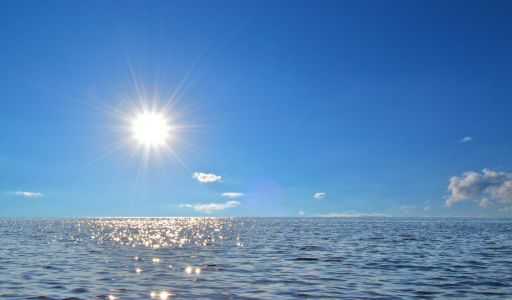 Участок в Александровке