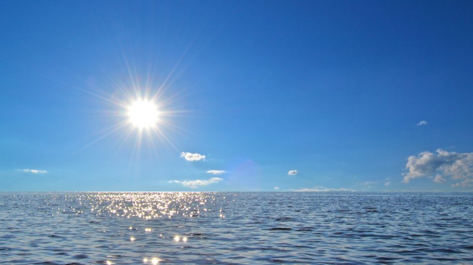 Участок в поселке Александровка