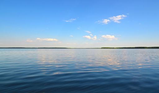 Участок в поселке Александровка