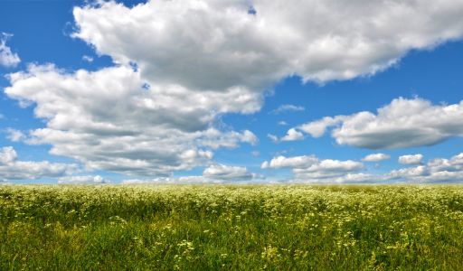 Участок с видом на Волгу