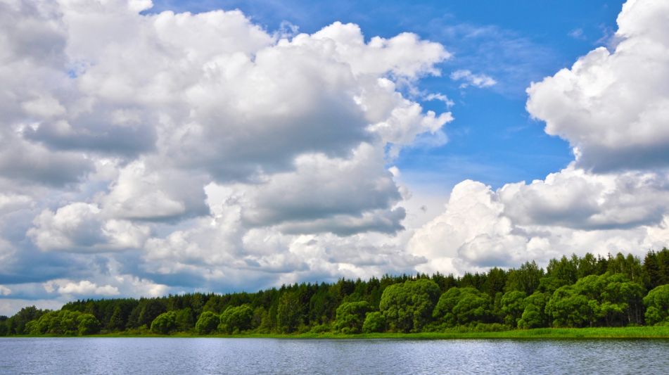 Участок с видом на Волгу